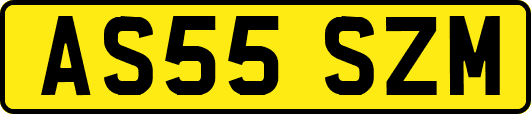 AS55SZM