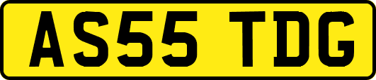 AS55TDG