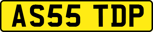 AS55TDP