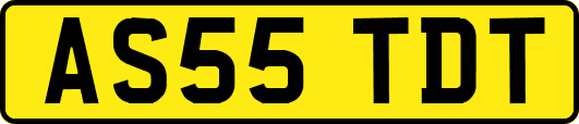 AS55TDT