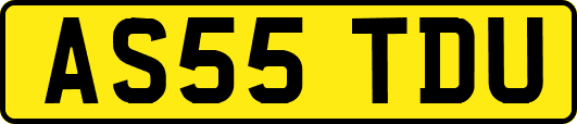 AS55TDU