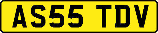 AS55TDV