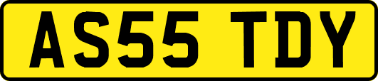 AS55TDY