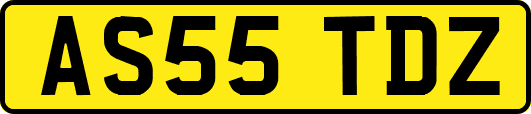 AS55TDZ