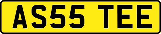 AS55TEE