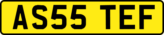 AS55TEF