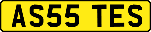 AS55TES