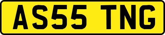 AS55TNG