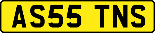 AS55TNS