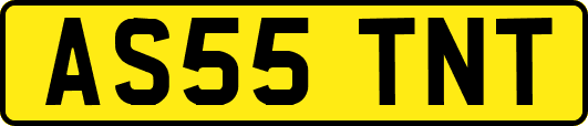 AS55TNT