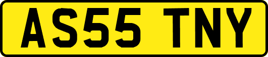AS55TNY
