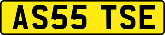 AS55TSE