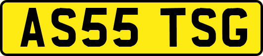 AS55TSG