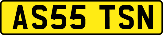 AS55TSN