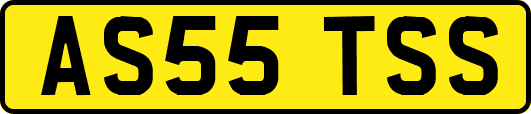 AS55TSS