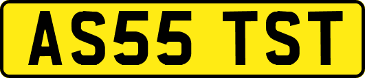 AS55TST