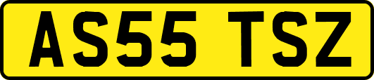 AS55TSZ
