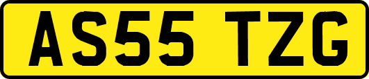 AS55TZG