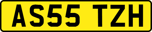AS55TZH