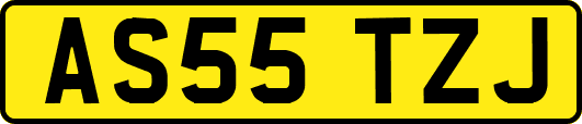 AS55TZJ
