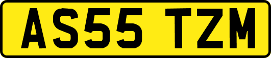 AS55TZM
