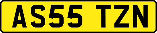 AS55TZN