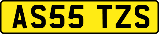AS55TZS