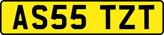 AS55TZT