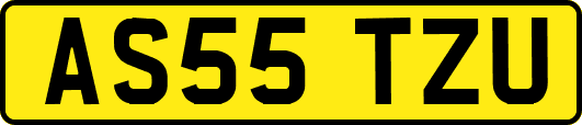 AS55TZU