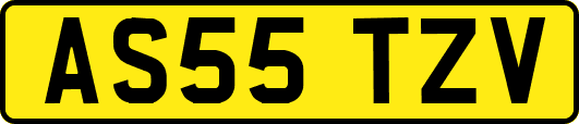AS55TZV