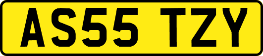 AS55TZY