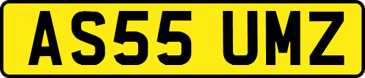 AS55UMZ