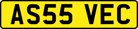 AS55VEC