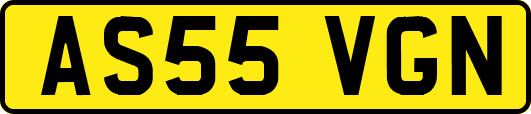 AS55VGN