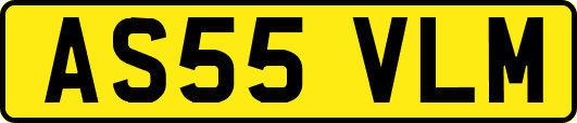 AS55VLM