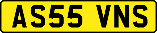 AS55VNS