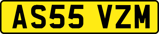 AS55VZM