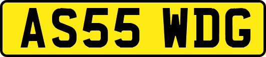 AS55WDG