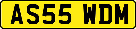 AS55WDM