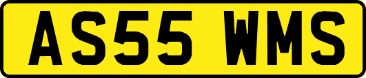 AS55WMS