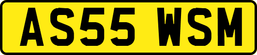 AS55WSM