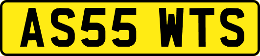 AS55WTS