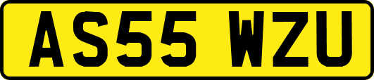 AS55WZU