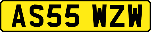 AS55WZW