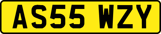 AS55WZY