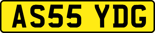 AS55YDG