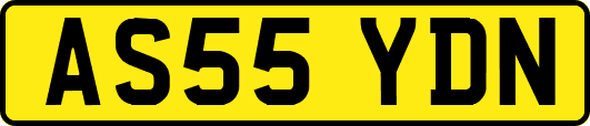 AS55YDN