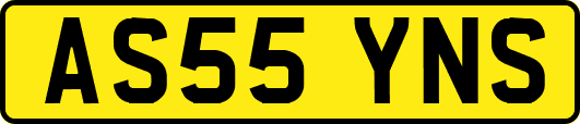AS55YNS