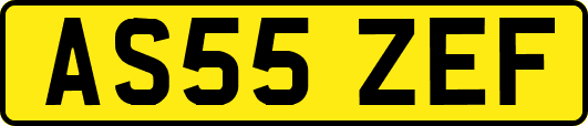 AS55ZEF