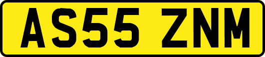 AS55ZNM